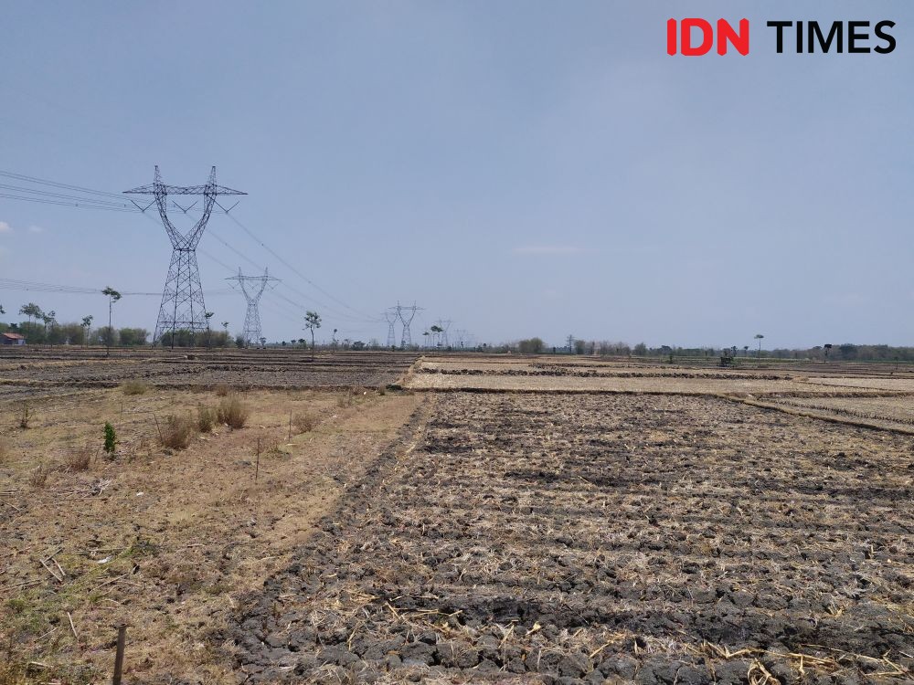 [FOTO] Parahnya Kekeringan di  Grobogan, 16 Kecamatan Krisis Air