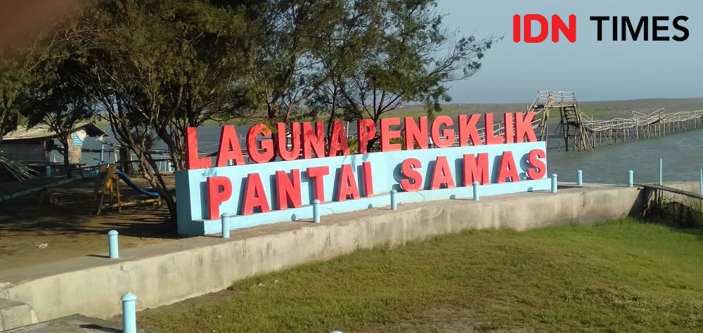 Cari Rumput di Laguna Samas, Pak RT Diserang Ribuan Lebah