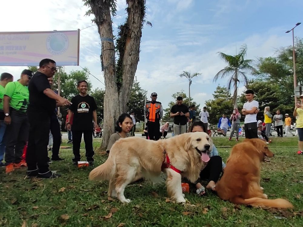 Antisipasi Penularan, Kucing dan Anjing di Balikpapan Divaksin Rabies