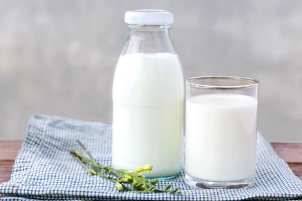 10 Produk Olahan Susu Paling Populer, Kamu Paling Suka yang Mana?
