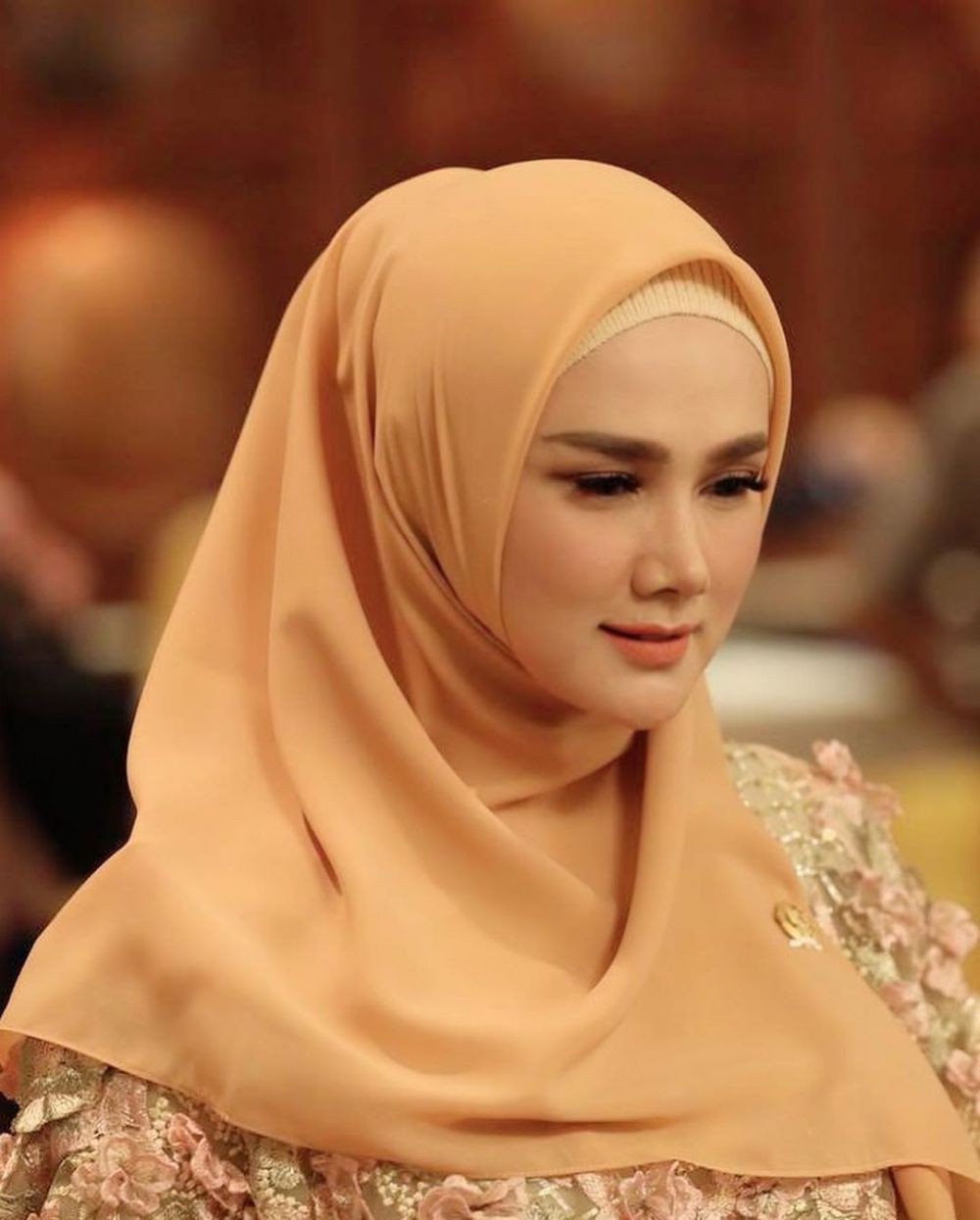 Tuai Pro Kontra, 10 Potret Mulan Jameela jadi Anggota DPR