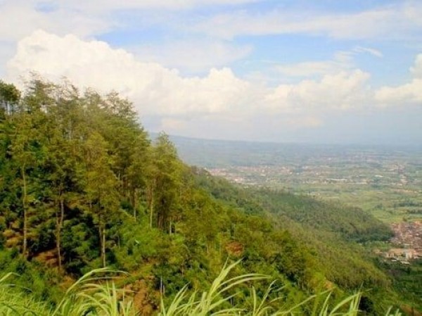 7 Wisata Alam di Sragen yang Memesona, Cocok buat Spot Piknik Keluarga