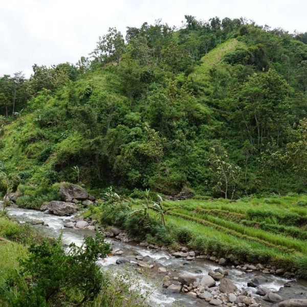 7 Wisata Alam di Sragen yang Memesona, Cocok buat Spot Piknik Keluarga