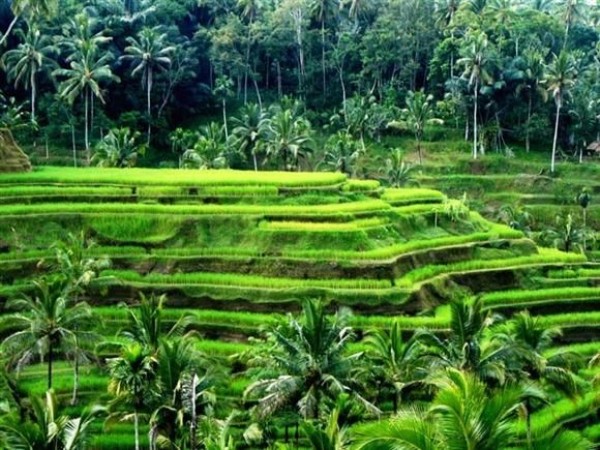 10 Lembah Terindah di Indonesia yang Bikin Kamu Enggan Pulang