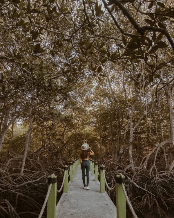8 Spot Terbaik untuk Hunting Foto di Taman Nasional Baluran Banyuwangi