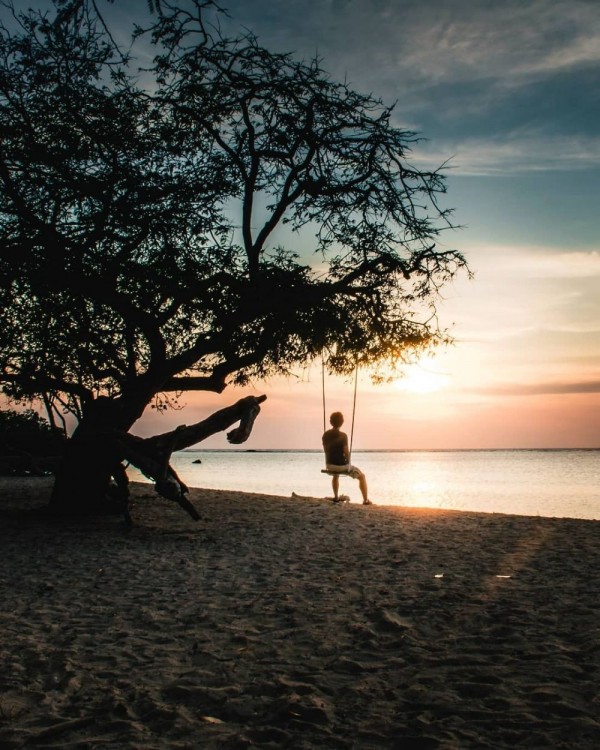 8 Spot Terbaik untuk Hunting Foto di Taman Nasional Baluran Banyuwangi
