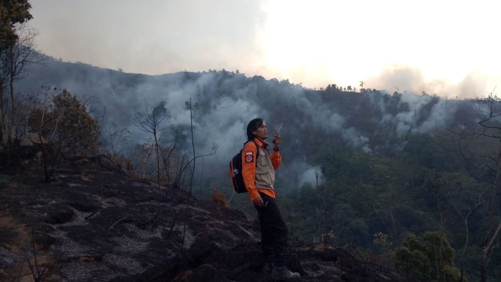 Kebakaran Hutan di Sekitar Kawasan Ciwidey Belum Bisa Dipadamkan
