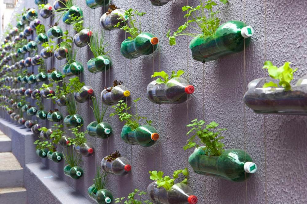 5 Inspirasi Vertical Garden,Â Solusi buat Halaman Sempit