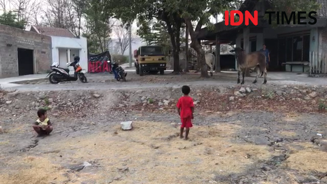 Tempat Pembuangan Sampah Terbesar di Solo, Terbakar. Asap Ganggu Warga