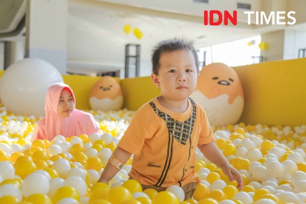 11 Potret Keseruan Mandi Bola Bertema Gudetama di Surabaya, Gemesin!