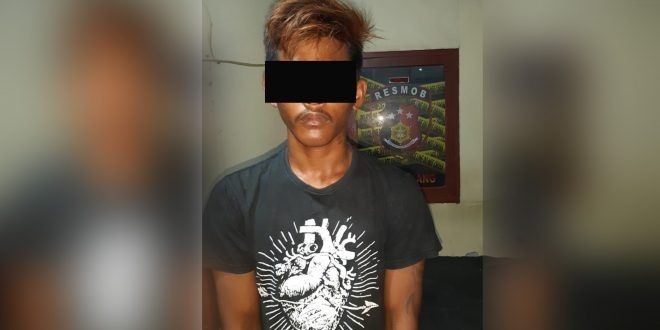 Ditangkap, Pria Ini Jauh-jauh dari Makassar ke Toraja untuk Curi Motor