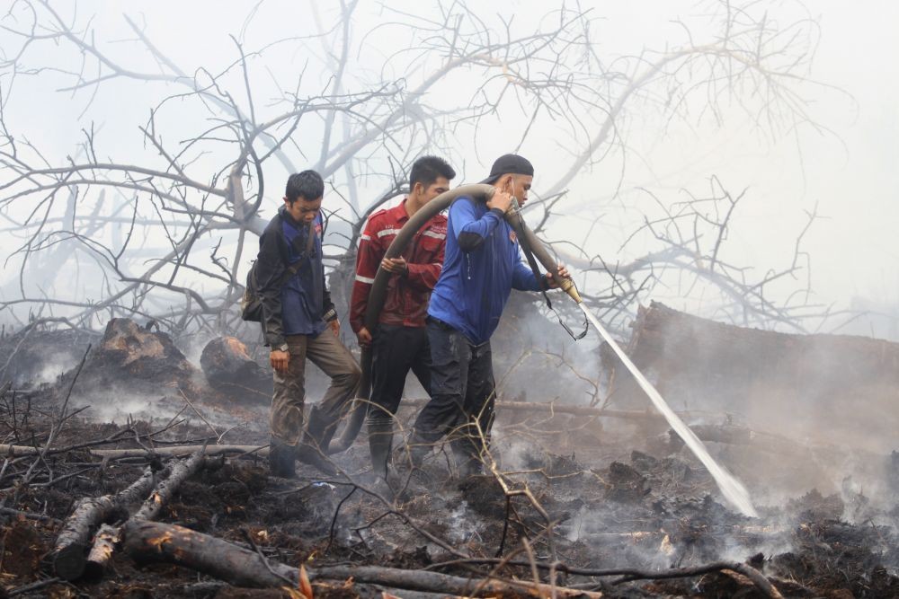 3 Kabupaten Membara di Sumsel Dikepung Api Karhutla