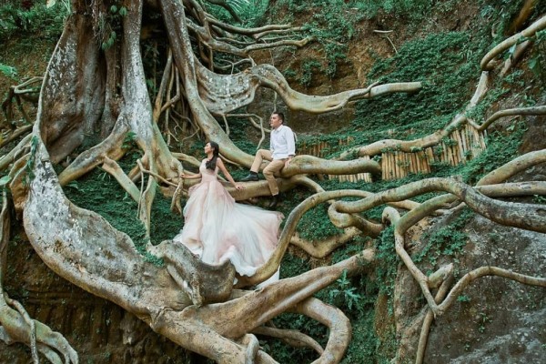 Mirip Film Fantasi, 7 Destinasi Wisata Akar yang Keren di Indonesia