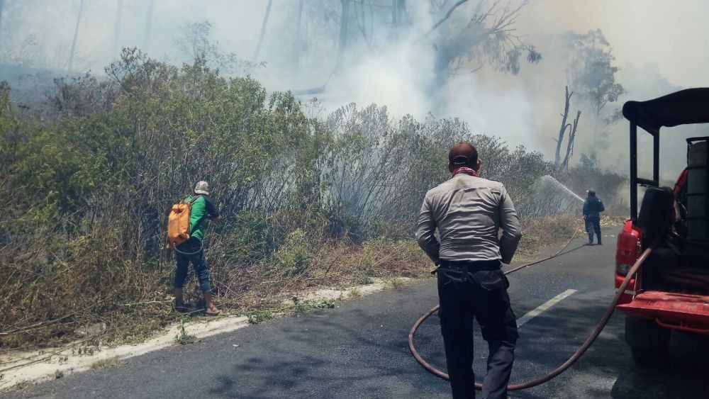 Kebakaran Gunung Ranti dan Ijen Terbesar dalam Lima Tahun Terakhir