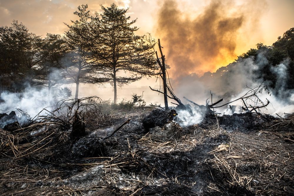 Lima Daerah di Sumsel Terpantau Muncul Titik Api Memicu Karhutla