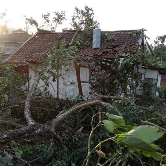 Puluhan Pohon Cemara dan 1.000 Rumah Rusak Diterjang Angin Kencang