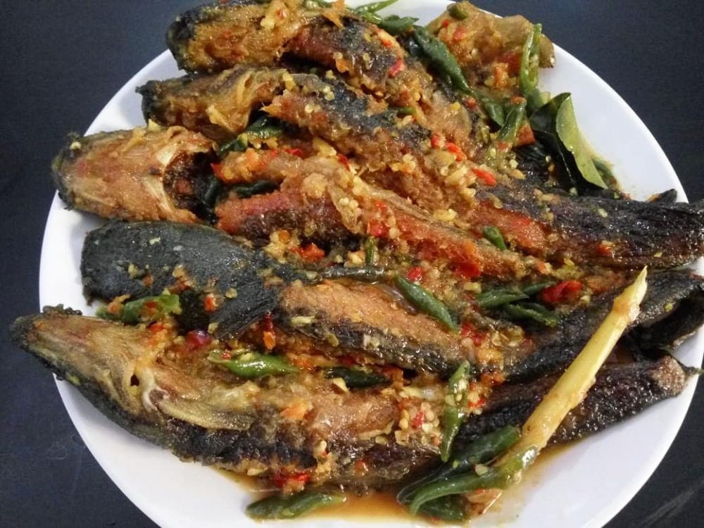 Resep Olahan Lele Pedas - Resep Mangut Ikan Lele Enak ...
