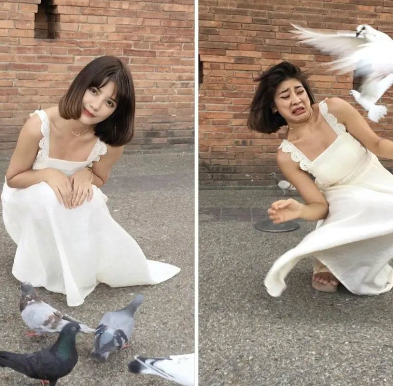 11 Selfie Bareng Hewan yang Gagal Total, Mau Ketawa Takut Dosa
