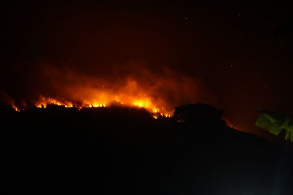 Kebakaran di Gunung Ijen Mulai Mengancam Lahan Perkebunan Warga