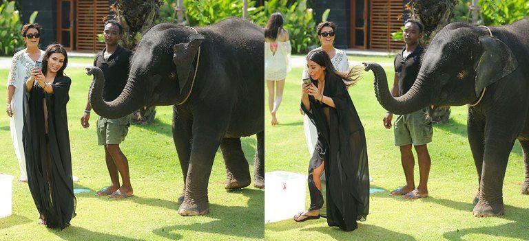 11 Selfie Bareng Hewan yang Gagal Total, Mau Ketawa Takut Dosa