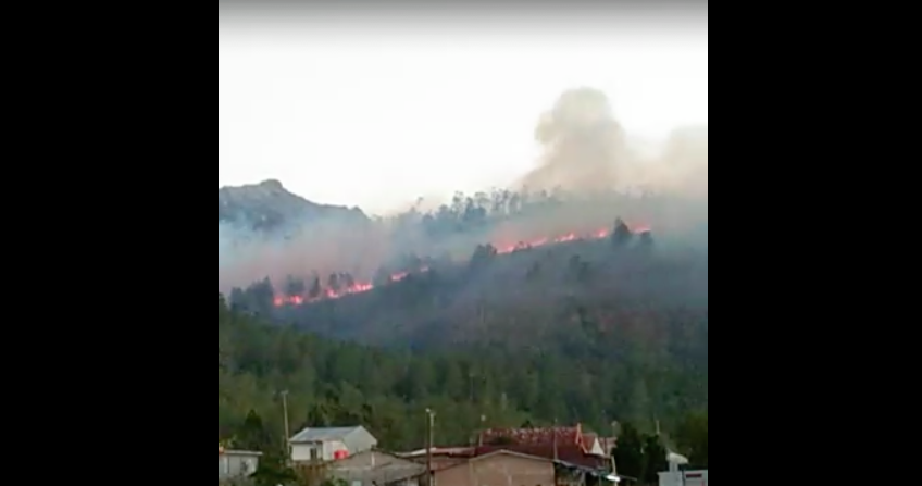 Pemkab Gowa Belum Pastikan Besaran Lahan Terdampak Kebakaran Hutan