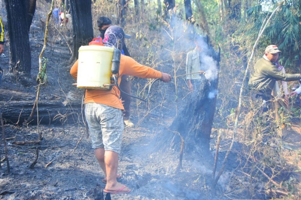 Sering Kebakaran, Kepala BNPB: Lahan Gambut Kita Seperti 'Diperkosa'