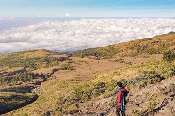 Info Rute, Harga Tiket, dan Tips Liburan ke Gunung Rinjani di Lombok