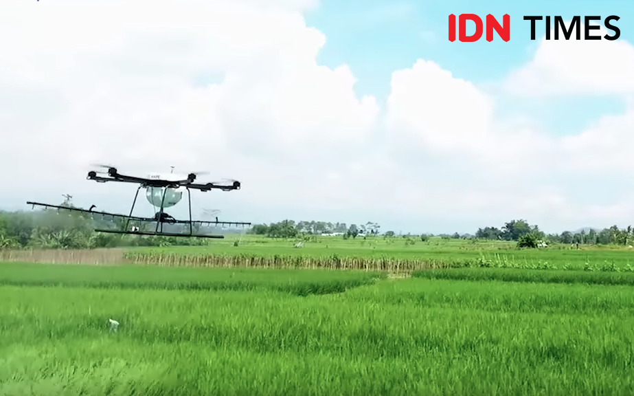 Petani Pakai Drone HOPE Semprot Pupuk dan Obat Hama Dari Udara