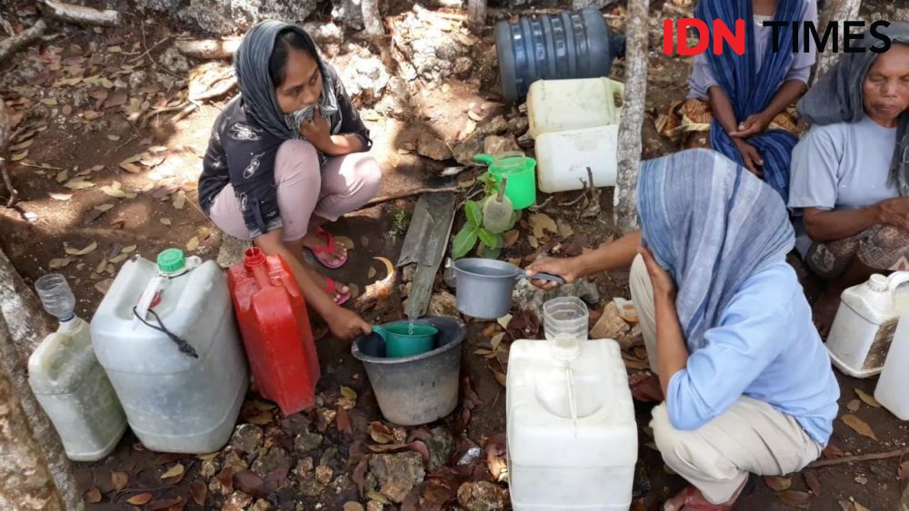 Dropping Air Optimal, 'Ternak Makan Ternak' di Gunungkidul Berkurang