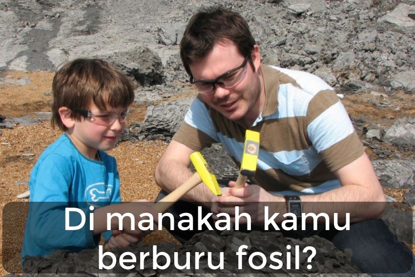 Kalau Menggali, Kira-kira Kamu Dapat Fosil Apa ya?