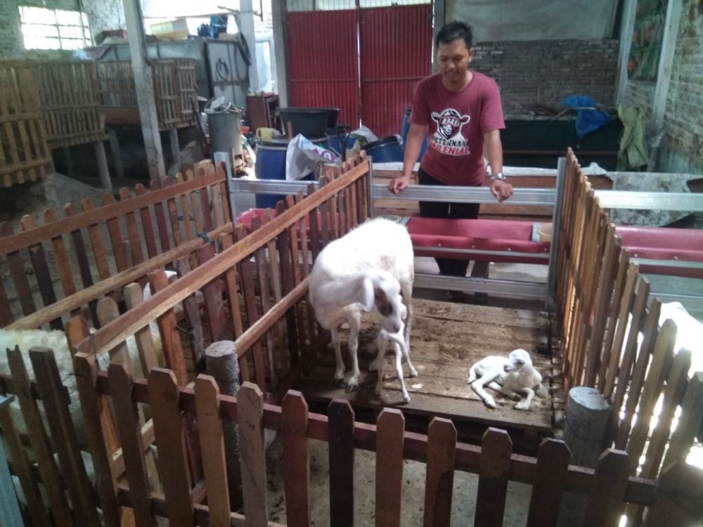 Khoiri, Peternak Kambing di Madiun yang Wadahi Millennial