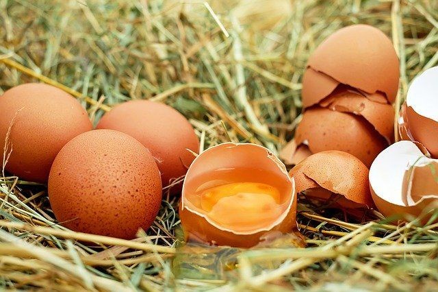 Telur Mentah Gak Baik Bagi Kesehatan? Ini 7 Faktanya!