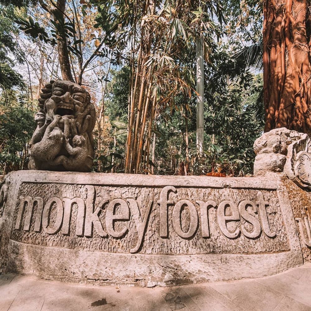 Info Wisata Monkey Forest Ubud Rute Harga Tiket Dan Tipsnya