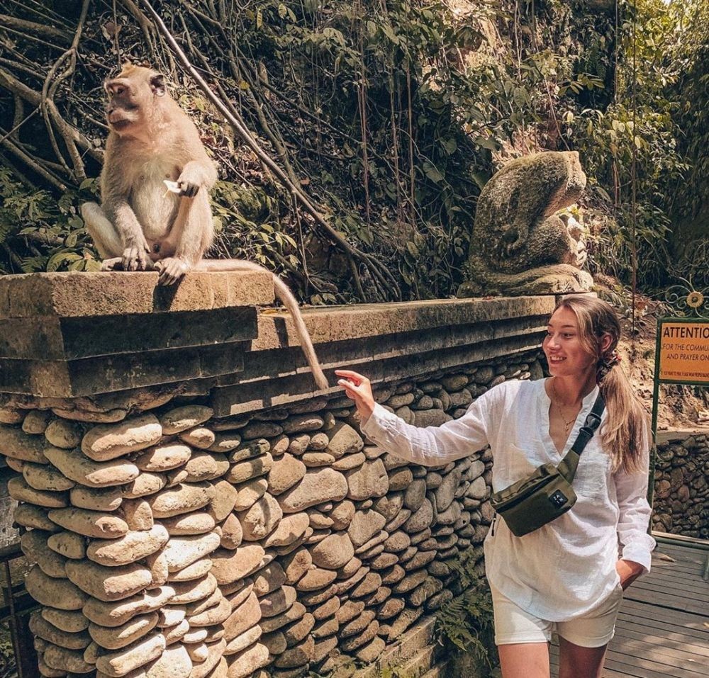 Info Wisata Monkey Forest Ubud: Rute, Harga Tiket, dan Tipsnya