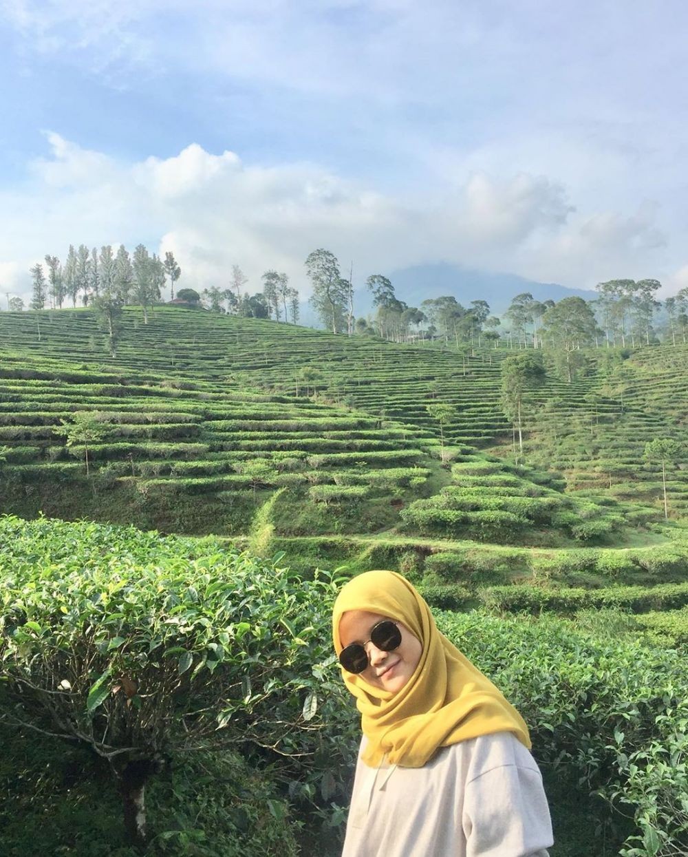 Tempat Wisata Kebun Teh Di Semarang
