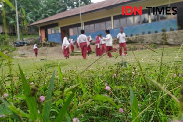 Sepuluh Tahun Mengajar di Tengah Hutan, Guru Ini Digaji Rp800 ribu