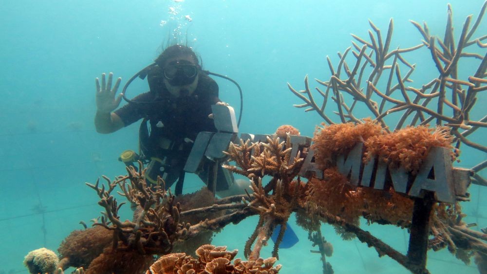 Restorasi Taman Bawah Laut Karimun Jawa, Bakal Calon Spot Wisata Baru