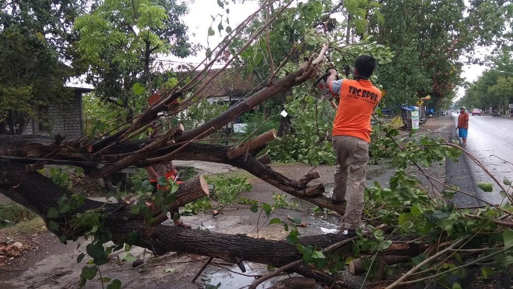 Hujan Deras Disertai Angin Kencang Rusak 10 Rumah Warga di KBB
