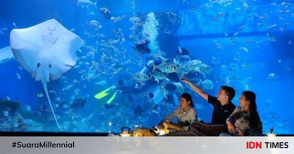 Jakarta Aquarium: Lokasi, Rute, Harga Tiket, Tips Liburan