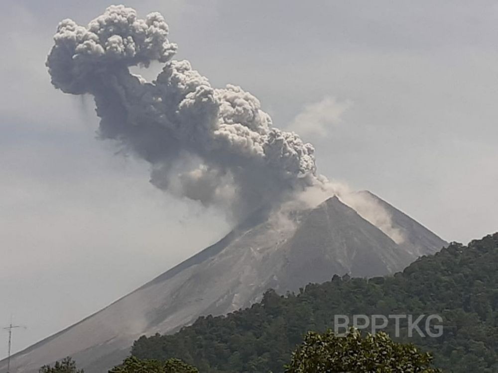 Merapi Meletus, BPPTKG: Waspadai Abu Vulkanik dan Awan Panas