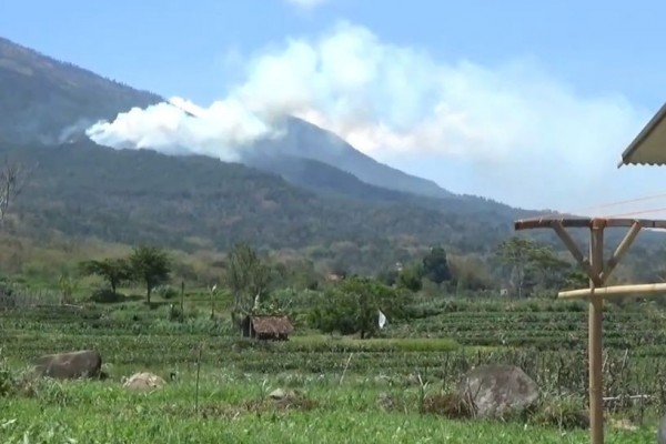 Gunung Lawu Masih Terbakar, 10 Hektare Hutan Hangus