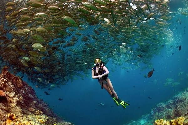 10 Spot Diving Terbaik di Dunia, Indonesia Tak Kalah Menakjubkan