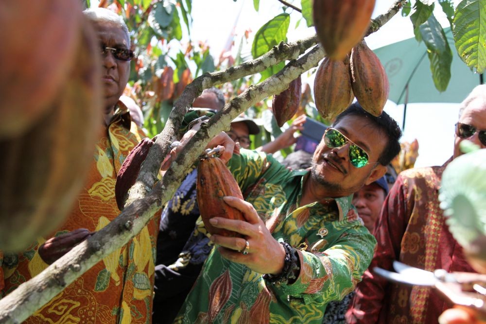 Mentan Syahrul Menjamin Stok Pangan Aman hingga Maret 2020