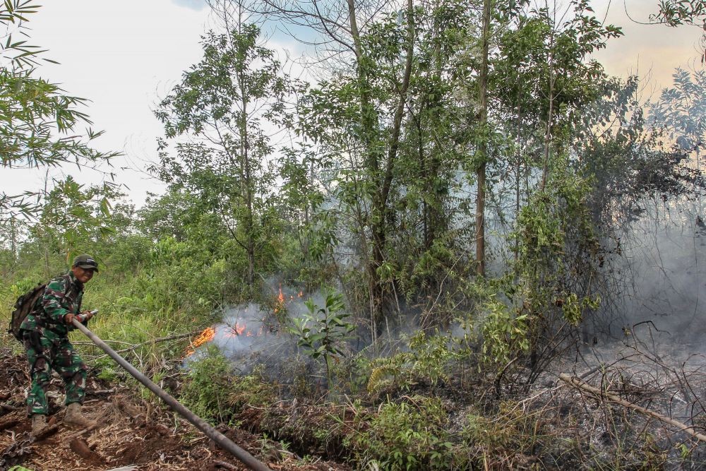 Unik, Warga Gorontalo Rayakan Festival Peluk Pohon