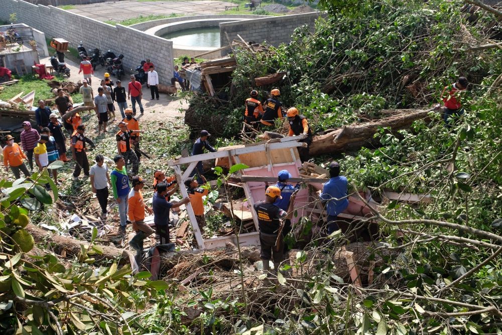 Cuaca Ekstrem, 10 Pohon Tumbang di Semarang, Warga Harus Pakai Ilmu Titen