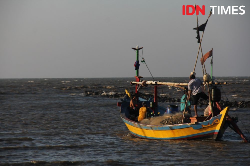 Menteri KKP Akan Ekspor Benih Lobster, BKIPM: Kita Tetap Pro Nelayan