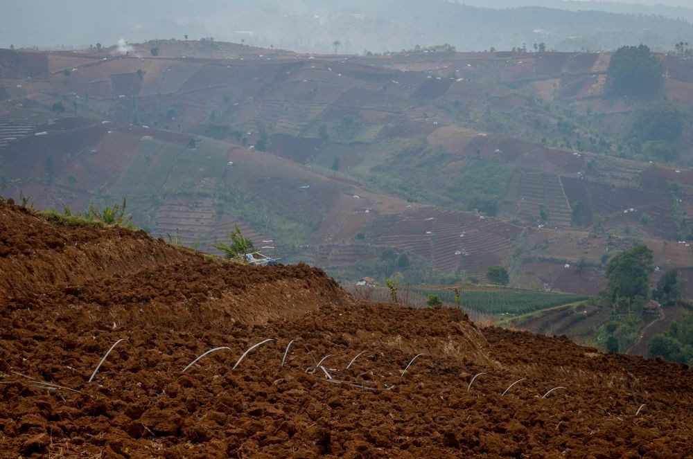 Dorong Provinsi Tangguh Bencana, Ridwan Kamil Siapkan 50 Juta Pohon