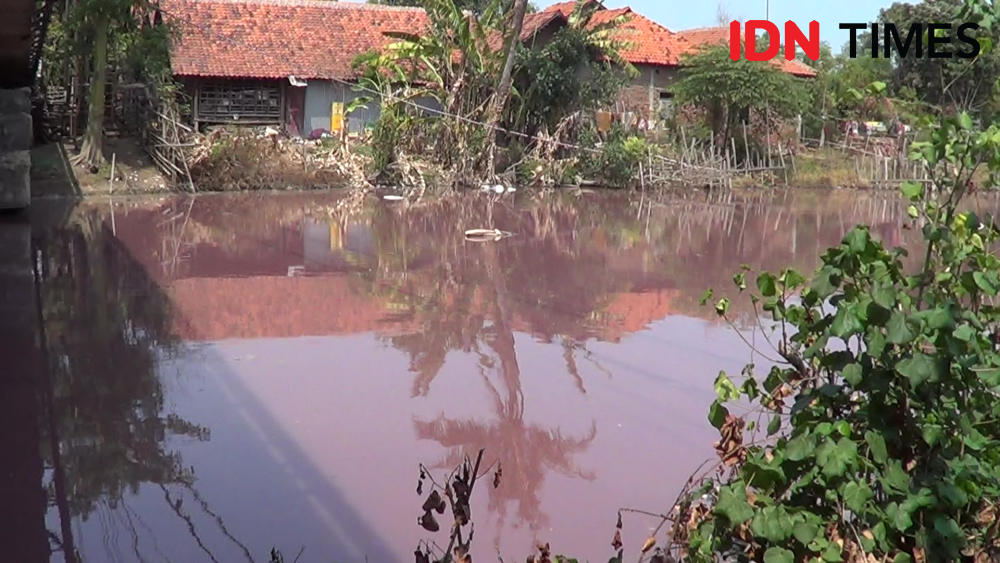 Sungai Maribaya di Tegal Berwarna Pink dan Mengeluarkan Bau Busuk