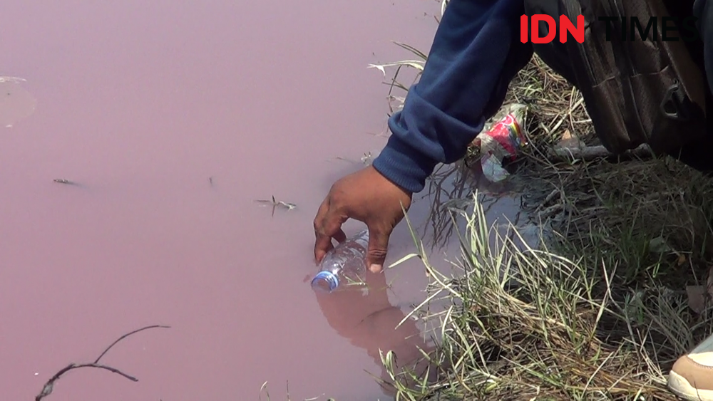 Viral Sungai Maribaya di Tegal Berwarna Pink, Kini Telah Normal