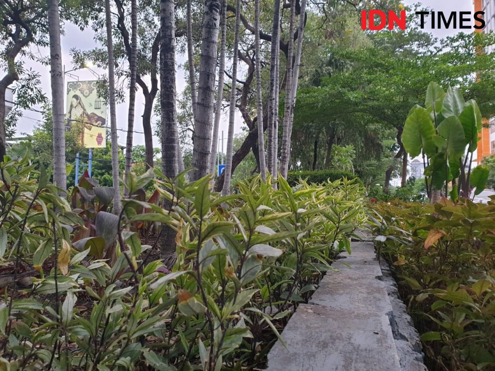 Pohon dan Ruang Terbuka Hijau: Cara Surabaya Menurunkan Suhu Udara